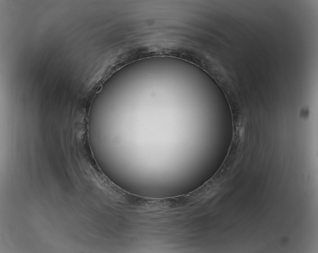 X0000116831012200912181429
