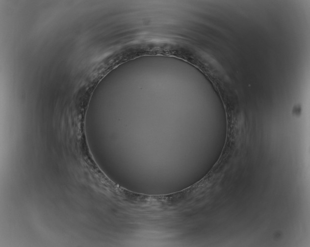 X0000116831013200912181429