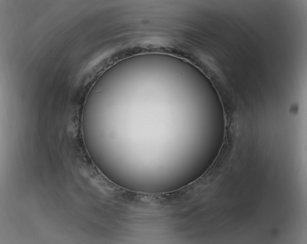 X0000116831015200912181429