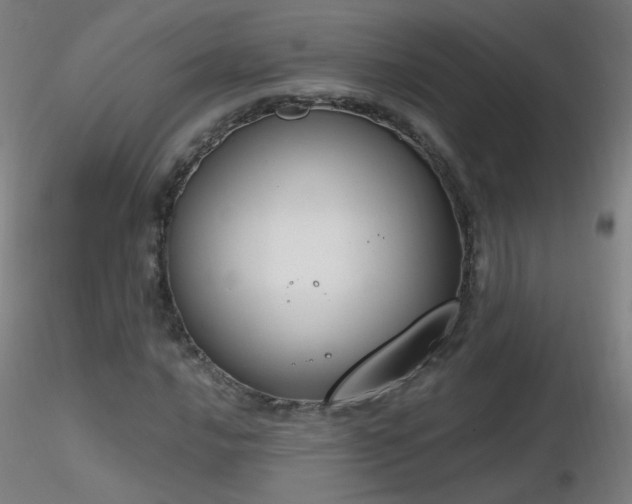 X0000116831016200912181429