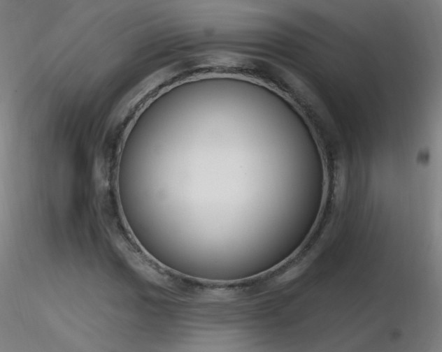 X0000116831017200912181429