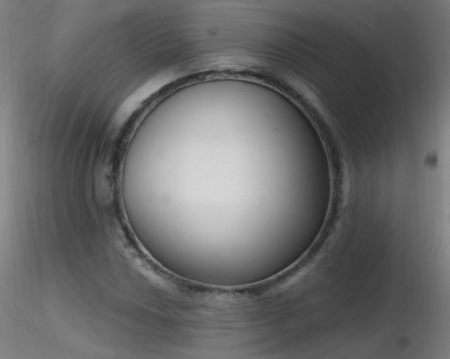 X0000116831018200912181429