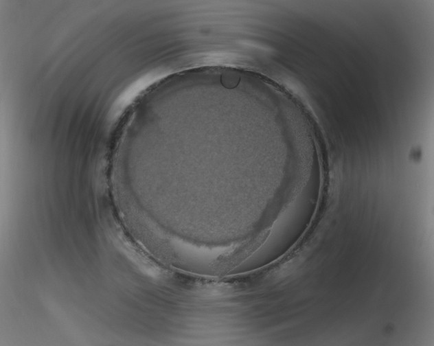 X0000116831019200912181429