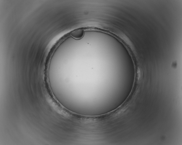 X0000116831020200912181429