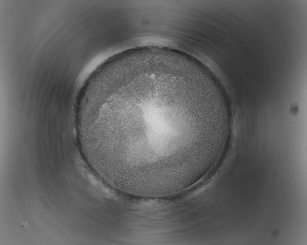X0000116831022200912181429