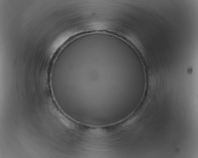 X0000116831023200912181429