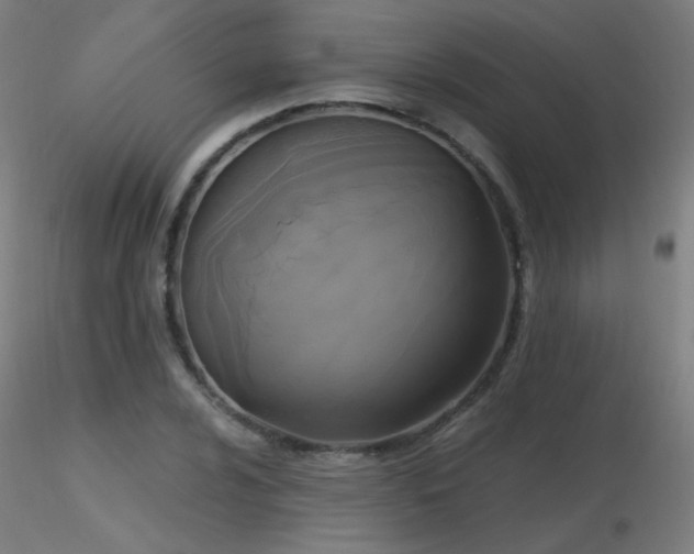 X0000116831024200912181429