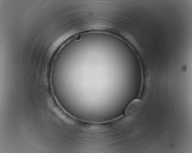 X0000116831026200912181429