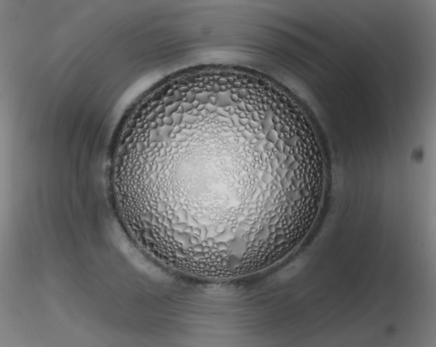 X0000116831029200912181429
