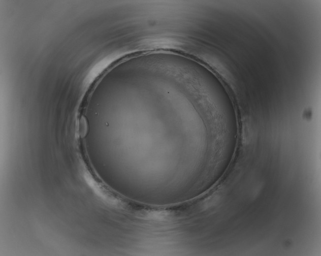 X0000116831031200912181429