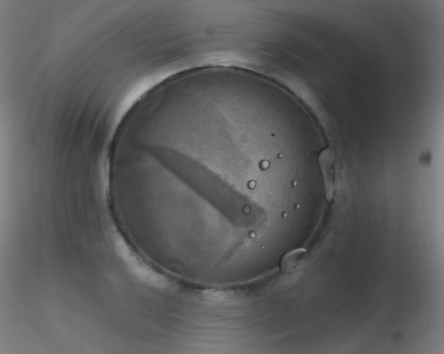 X0000116831032200912181429