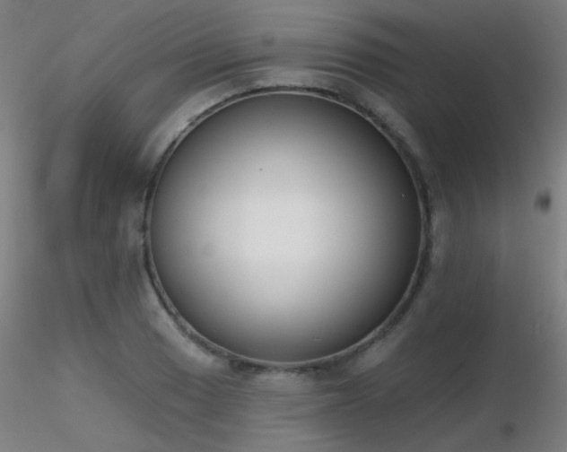 X0000116831033200912181429