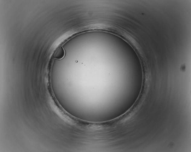 X0000116831034200912181429