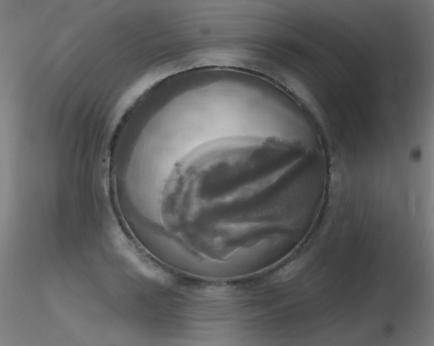 X0000116831035200912181429