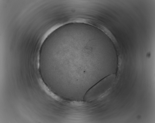 X0000116831036200912181429