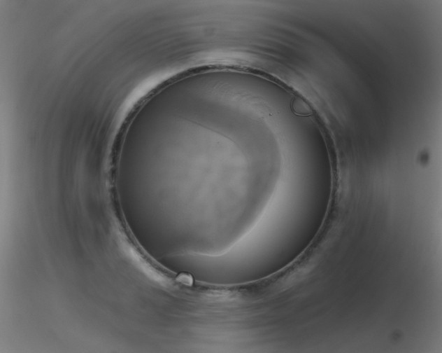 X0000116831037200912181429