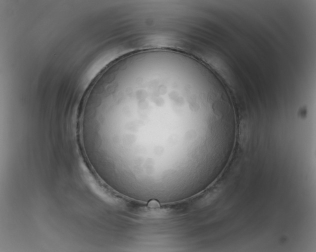 X0000116831039200912181429