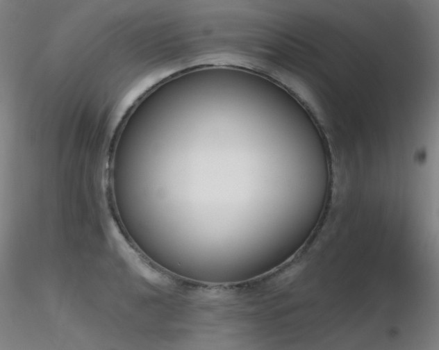 X0000116831040200912181429