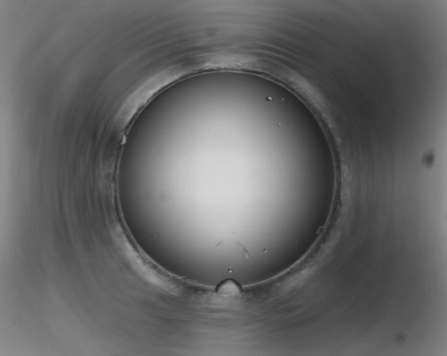 X0000116831041200912181429