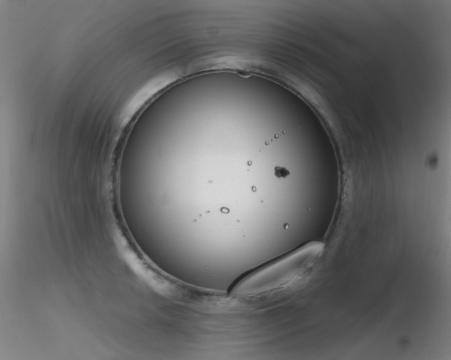 X0000116831042200912181429