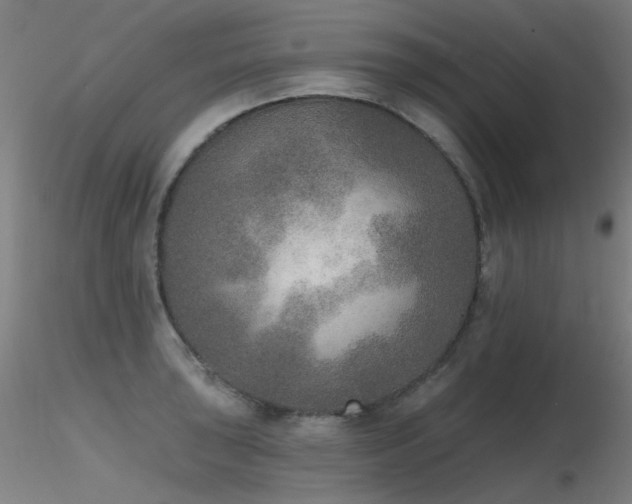 X0000116831043200912181429