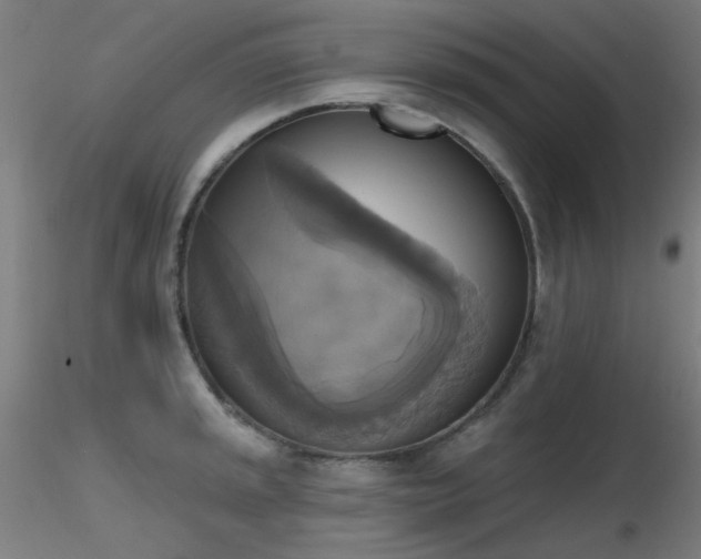 X0000116831045200912181429