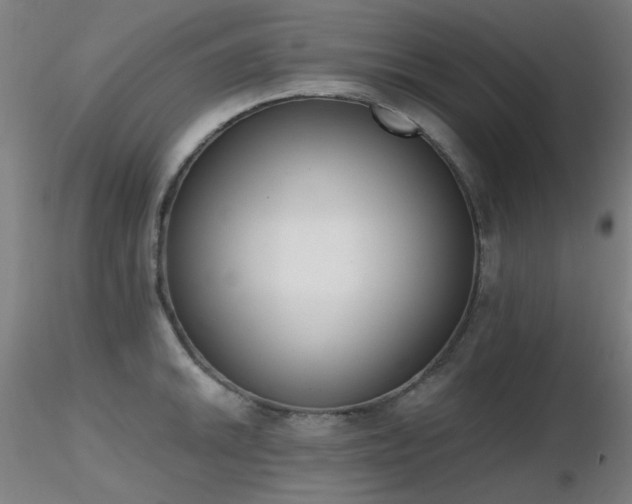 X0000116831046200912181429
