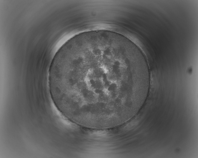 X0000116831047200912181429