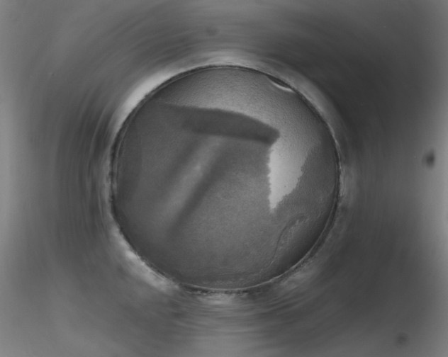 X0000116831048200912181429