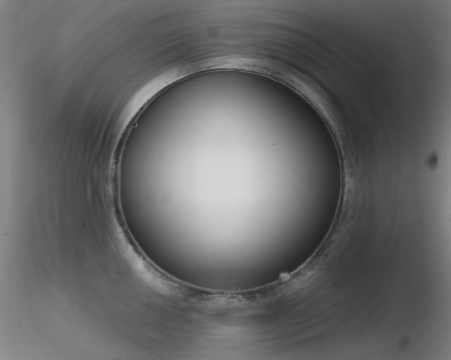 X0000116831050200912181429