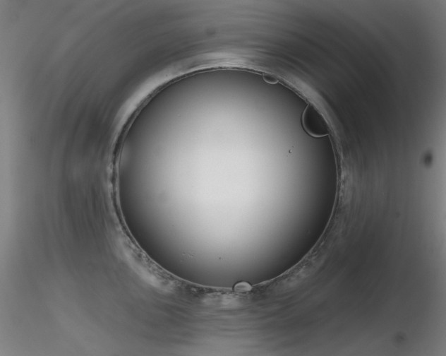 X0000116831051200912181429