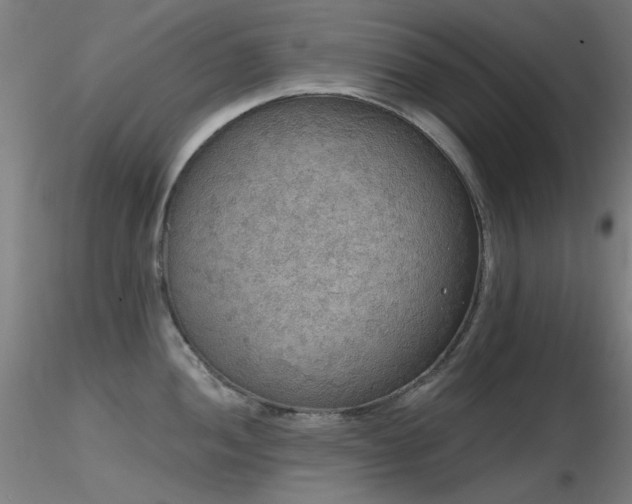 X0000116831052200912181429