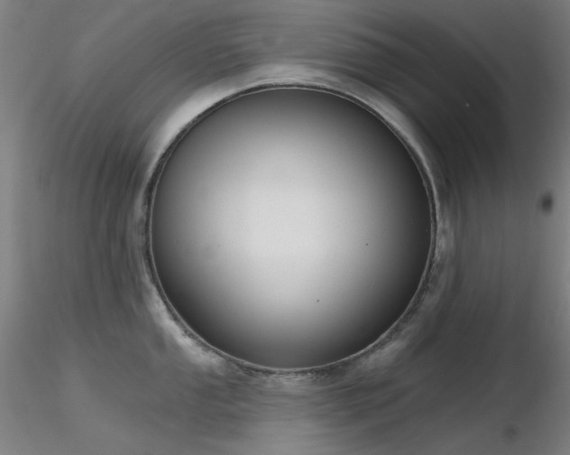 X0000116831053200912181429