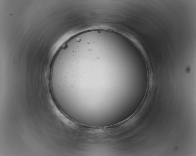 X0000116831054200912181429