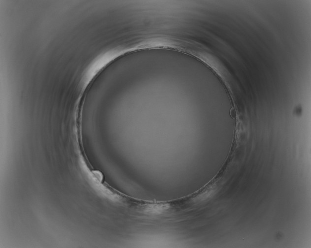 X0000116831055200912181429
