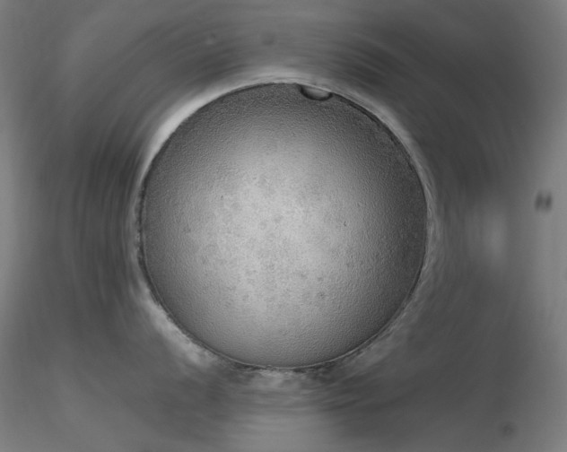 X0000116831056200912181429