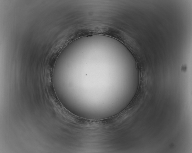 X0000116831058200912181429