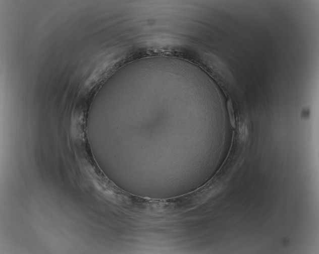 X0000116831060200912181429