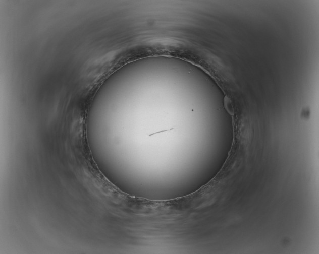 X0000116831061200912181429
