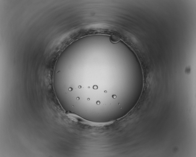X0000116831062200912181429
