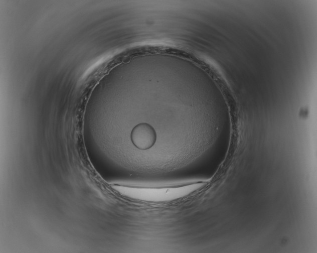 X0000116831064200912181429