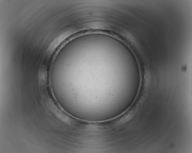 X0000116831065200912181429