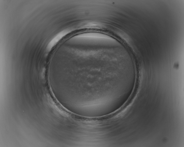X0000116831066200912181429
