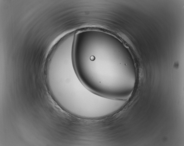 X0000116831068200912181428