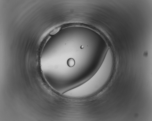 X0000116831069200912181428