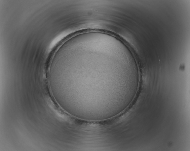 X0000116831070200912181428