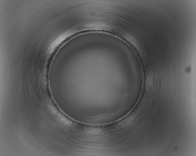 X0000116831071200912181428