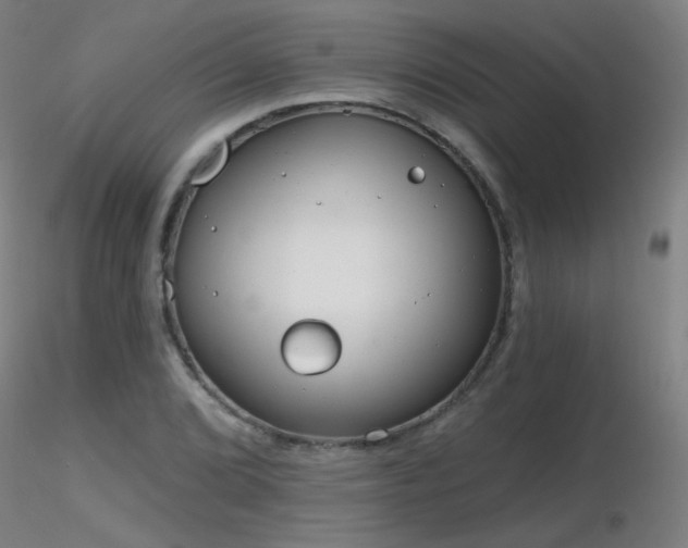 X0000116831072200912181428