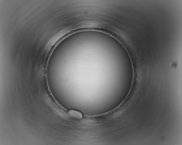 X0000116831073200912181428