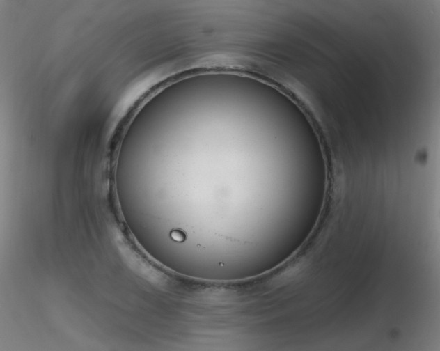 X0000116831075200912181428